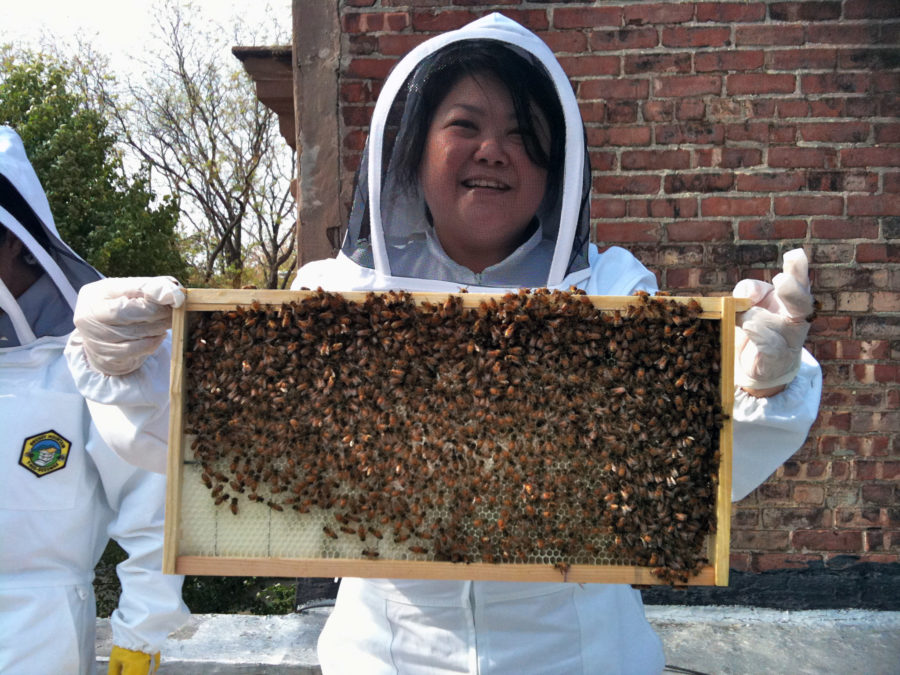 beekeeper-studio/ at master · beekeeper-studio/beekeeper-studio
